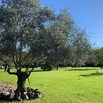 Apartamento 2025 - Grand Avec Piscine Et à 50 M San-Nicolao