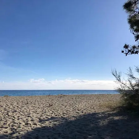 2025 - Grand Avec Piscine Et A 50 M * San-Nicolao