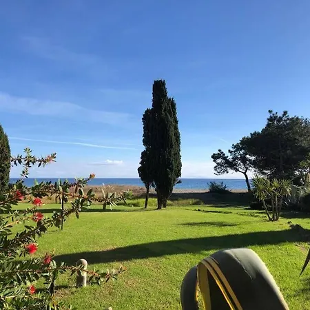 2025 - Grand Avec Piscine Et A 50 M Lägenhet San-Nicolao