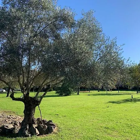 Apartment 2025 - Grand Avec Piscine Et A 50 M San-Nicolao