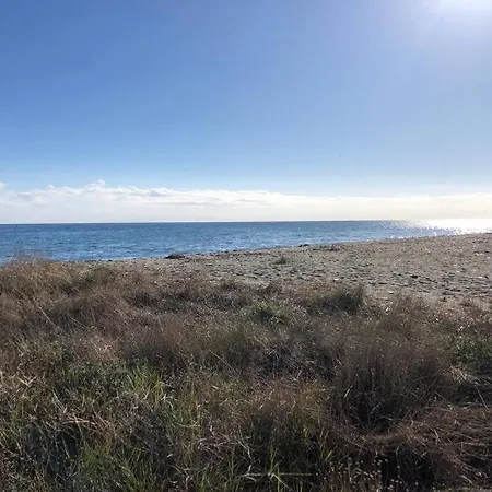 Apartment 2025 - Grand Avec Piscine Et A 50 M San-Nicolao