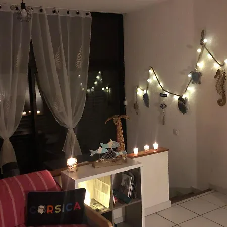 2025 - Grand Avec Piscine Et A 50 M San-Nicolao