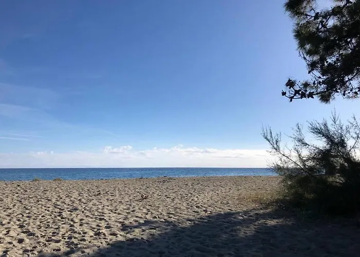 2025 - Grand Avec Piscine Et A 50 M * San-Nicolao