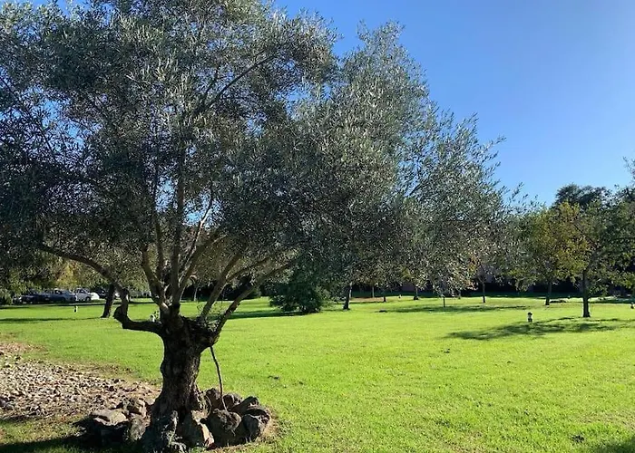 Apartmán 2025 - Grand Avec Piscine Et A 50 M San-Nicolao