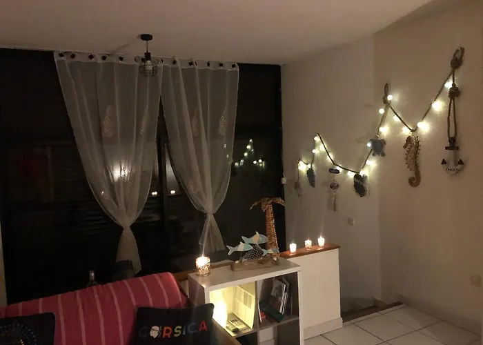 2025 - Grand Avec Piscine Et A 50 M San-Nicolao