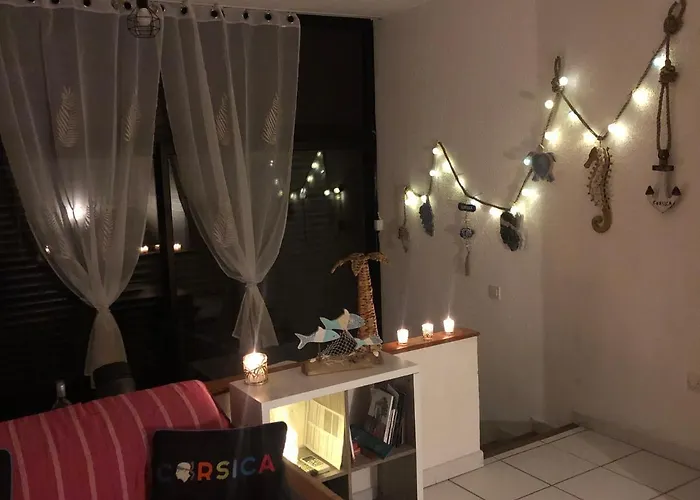 2025 - Grand Avec Piscine Et A 50 M San-Nicolao